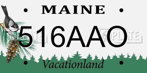 516AAO Maine License Plate