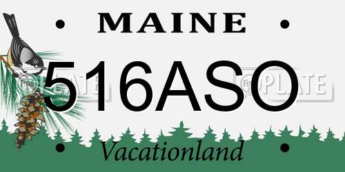 516ASO Maine License Plate