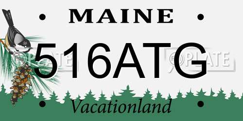 516ATG Maine License Plate