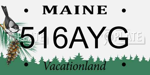 516AYG Maine License Plate