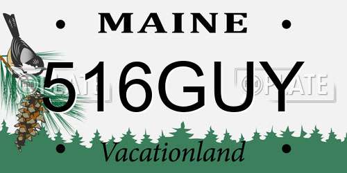 516GUY Maine License Plate