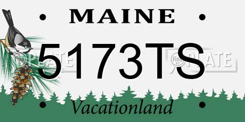 5173TS Maine License Plate