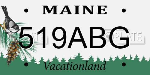 519ABG Maine License Plate