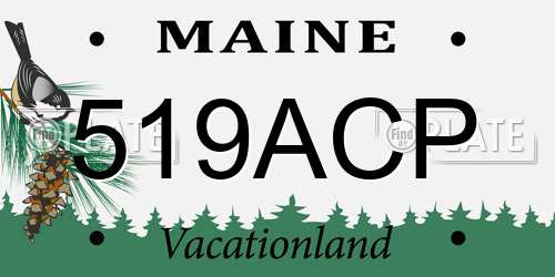 519ACP Maine License Plate