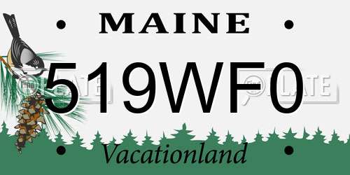 519WF0 Maine License Plate