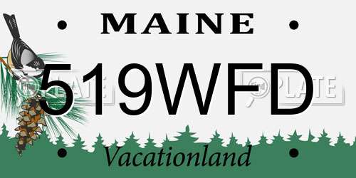 519WFD Maine License Plate