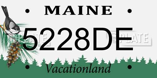 5228DE Maine License Plate