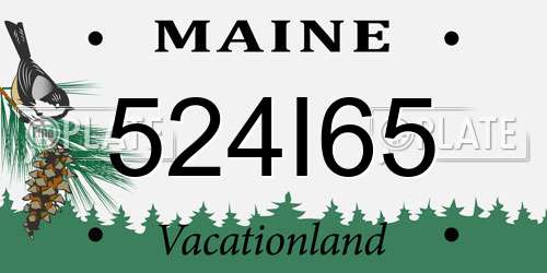 524I65 Maine License Plate