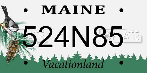 524N85 Maine License Plate