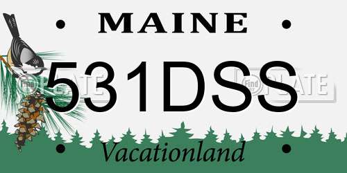 531DSS Maine License Plate