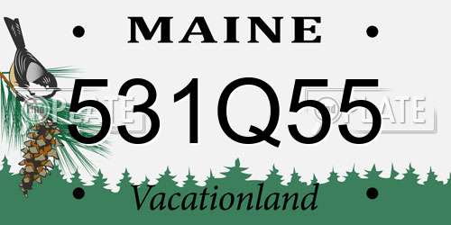 531Q55 Maine License Plate