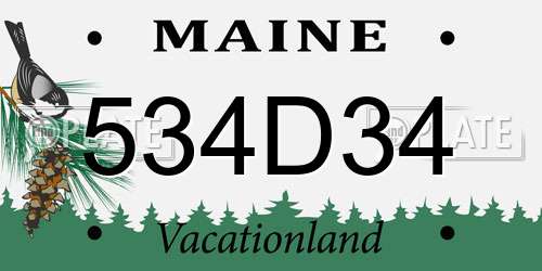 534D34 Maine License Plate