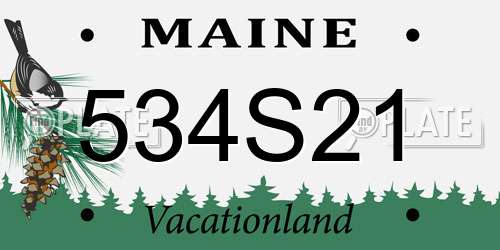 534S21 Maine License Plate