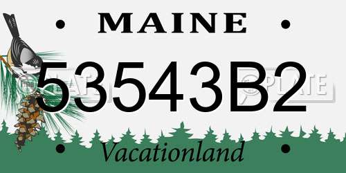 53543B2 Maine License Plate
