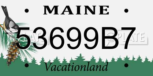 53699B7 Maine License Plate