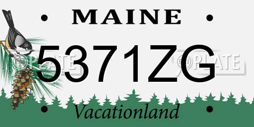 5371ZG Maine License Plate