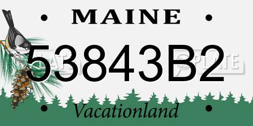 53843B2 Maine License Plate