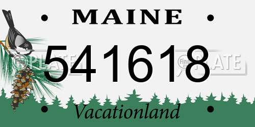 541618 Maine License Plate