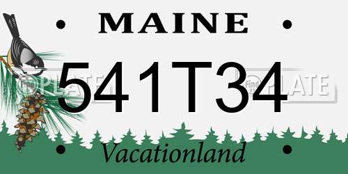 541T34 Maine License Plate