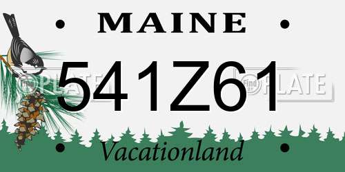 541Z61 Maine License Plate