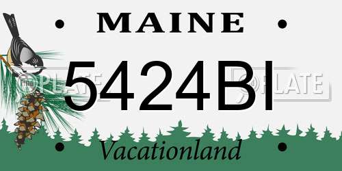 5424BI Maine License Plate