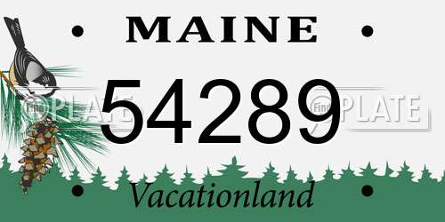 54289 Maine License Plate