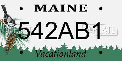 542AB1 Maine License Plate