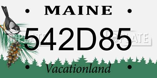 542D85 Maine License Plate