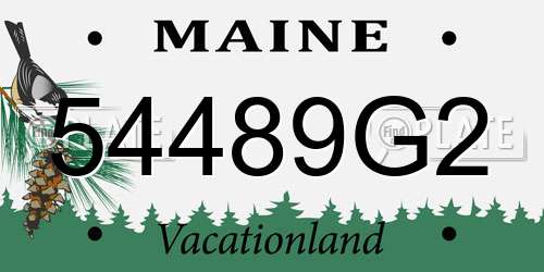 54489G2 Maine License Plate