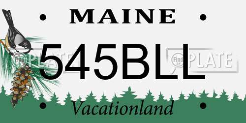 545BLL Maine License Plate