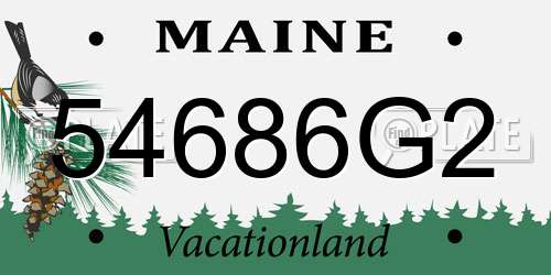 54686G2 Maine License Plate