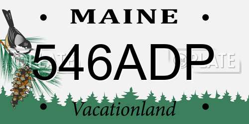 546ADP Maine License Plate