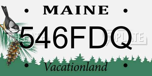 546FDQ Maine License Plate