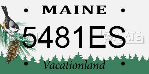 5481ES Maine License Plate