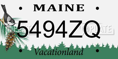 5494ZQ Maine License Plate