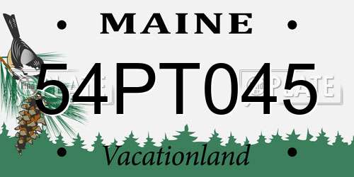 54PT045 Maine License Plate