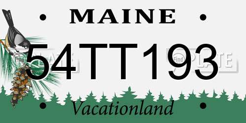54TT193 Maine License Plate