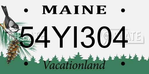 54YI304 Maine License Plate