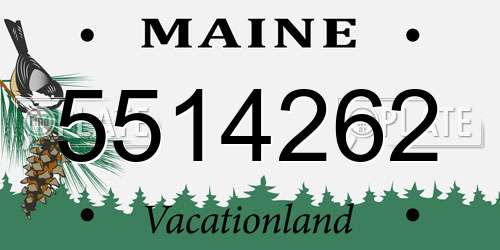 5514262 Maine License Plate