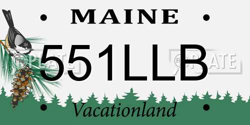 551LLB Maine License Plate