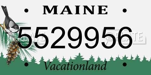 5529956 Maine License Plate