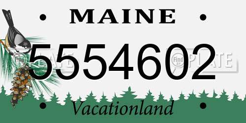 5554602 Maine License Plate