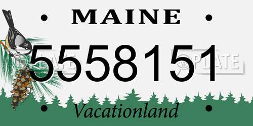 5558151 Maine License Plate