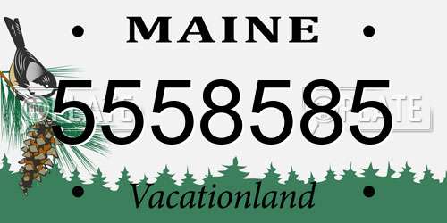 5558585 Maine License Plate