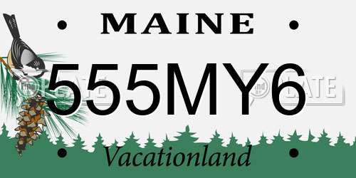 555MY6 Maine License Plate