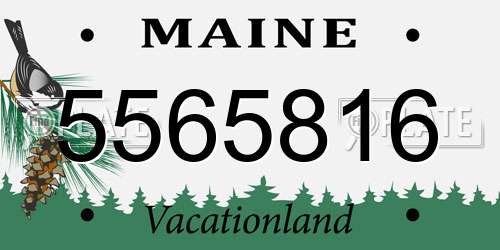 5565816 Maine License Plate