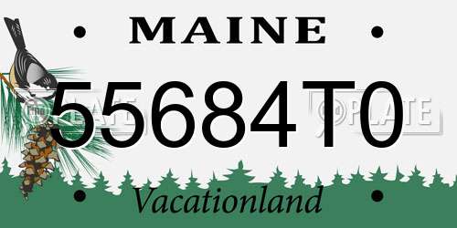 55684T0 Maine License Plate