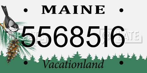 55685I6 Maine License Plate