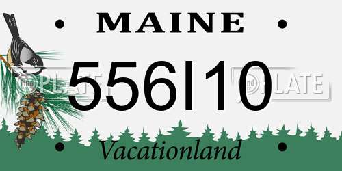556I10 Maine License Plate