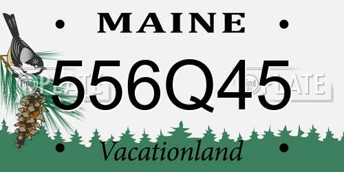 556Q45 Maine License Plate